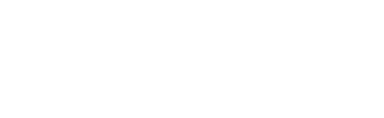 Wolfe Industries logo